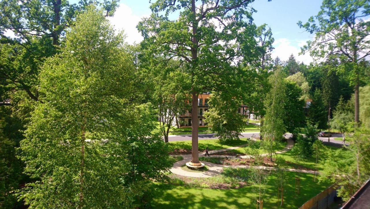 Hajnówka Enklawa Bialowieska Forest & Spa المظهر الخارجي الصورة