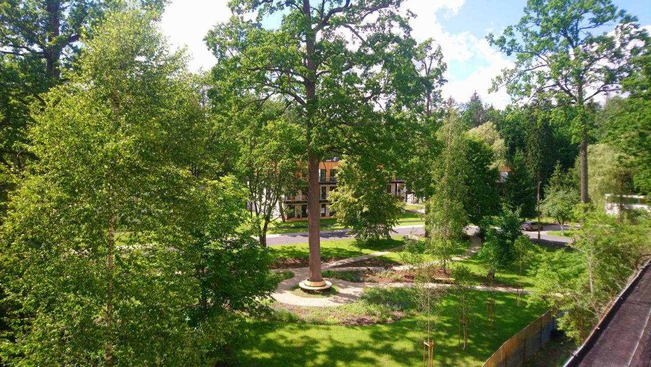 Hajnówka Enklawa Bialowieska Forest & Spa المظهر الخارجي الصورة